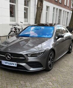 chameleon intense blue