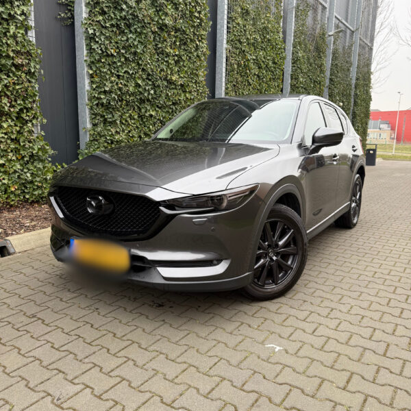 Black bronze 50